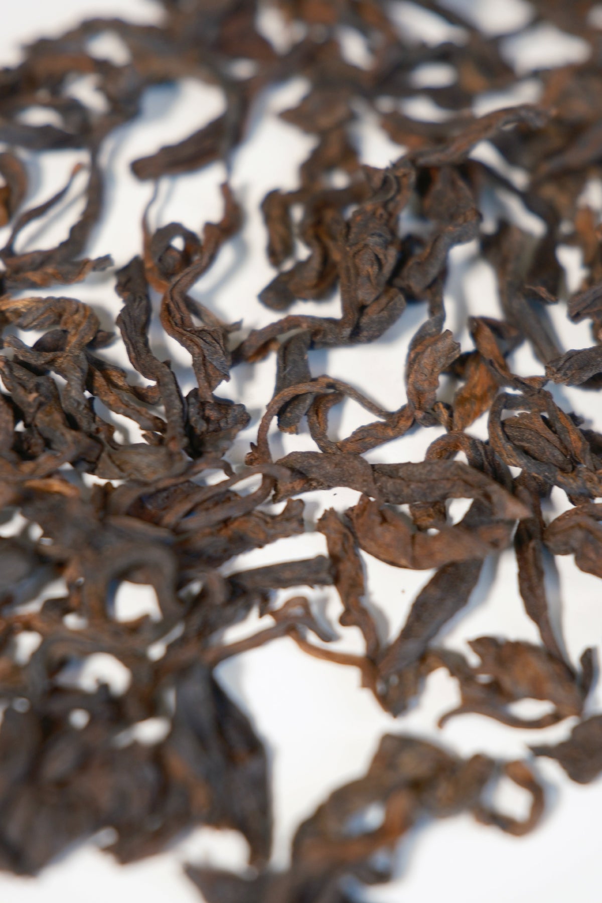 RIPE PU-ERH