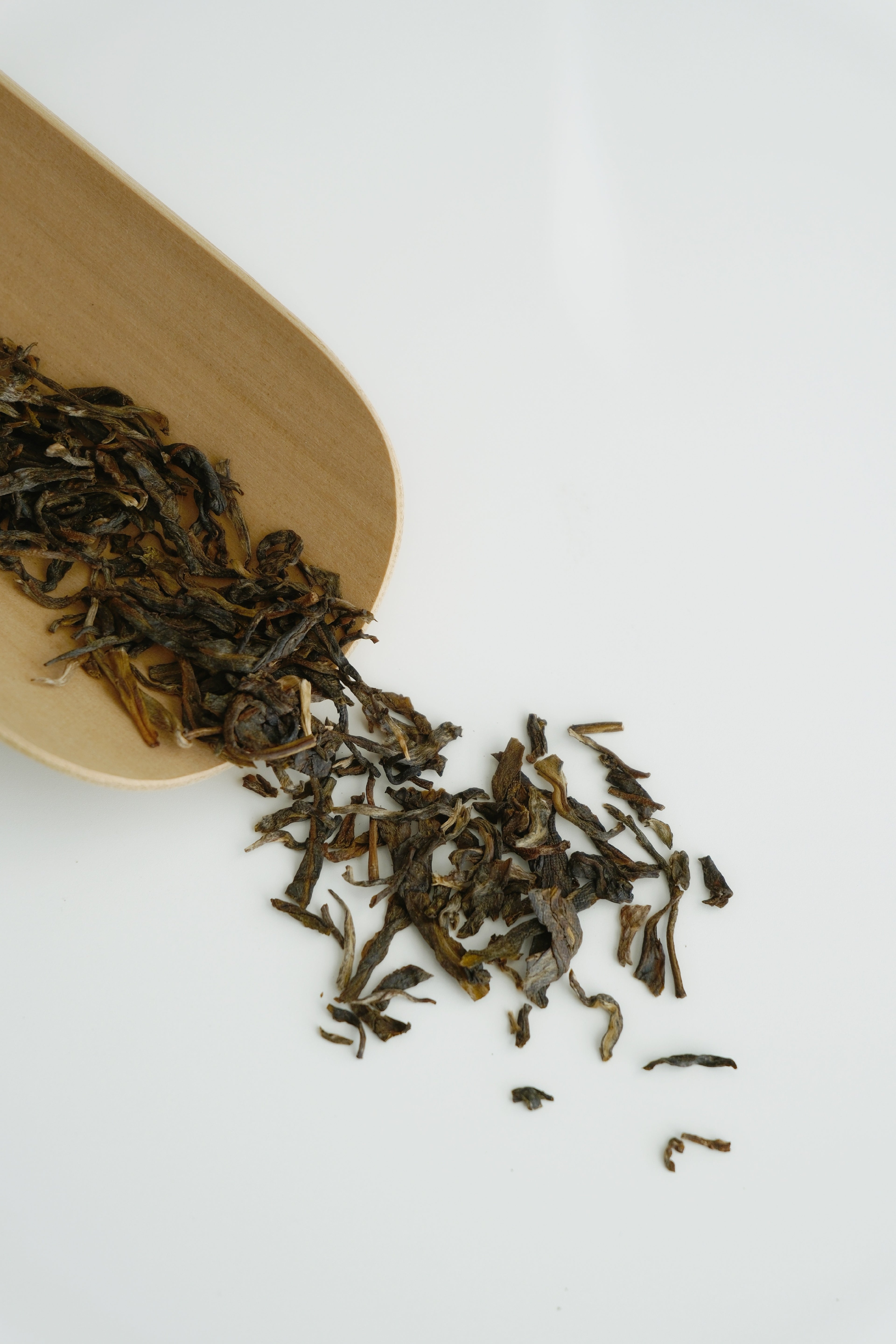 Floral Charm Raw Pu-erh Cake (2025)