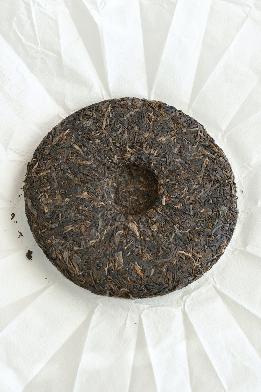 Honey Charm Sheng Pu-erh Cake (2025)