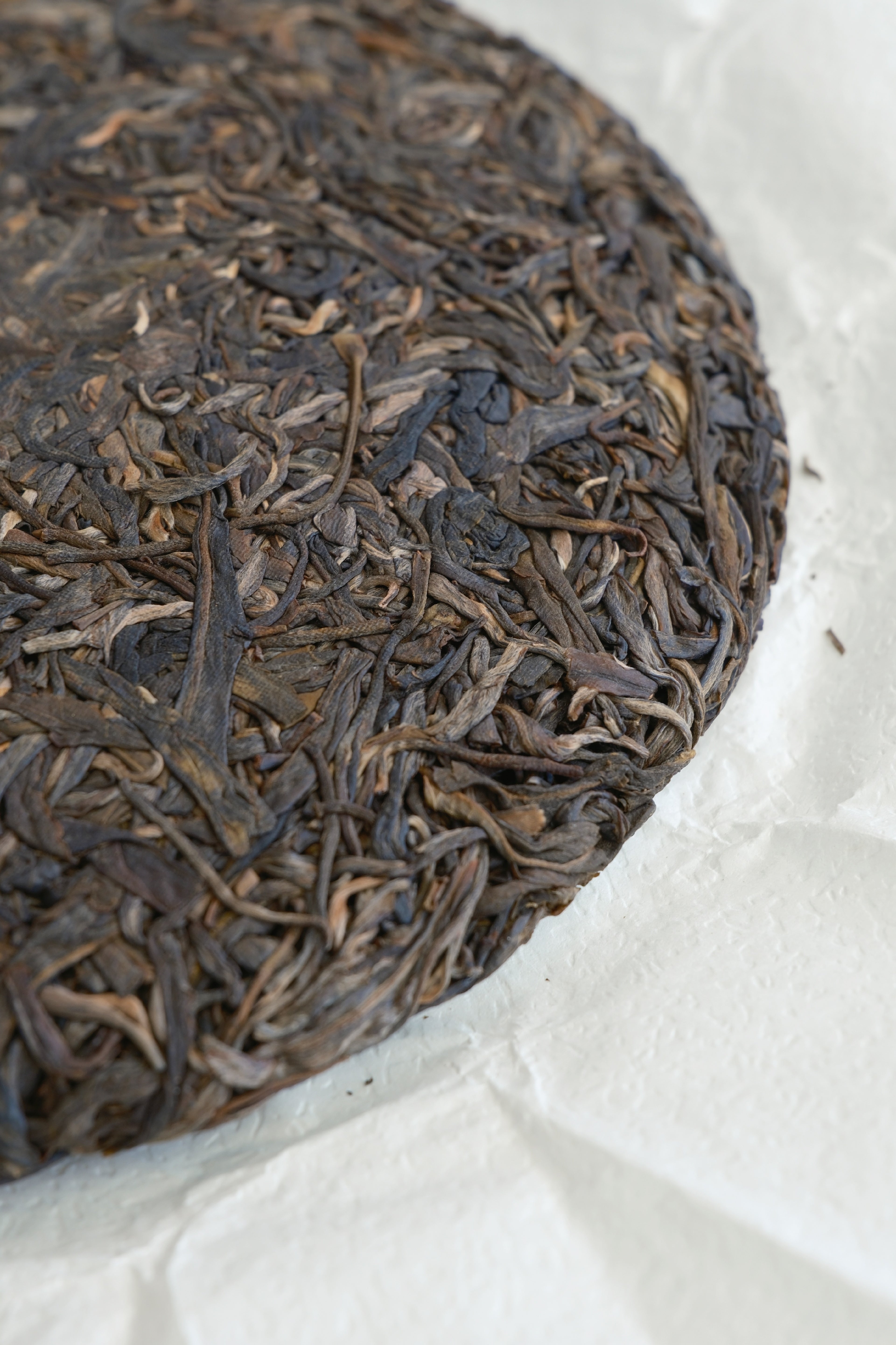 Honey Charm Sheng Pu-erh Cake (2025)