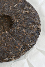 Honey Charm Sheng Pu-erh Cake (2025)