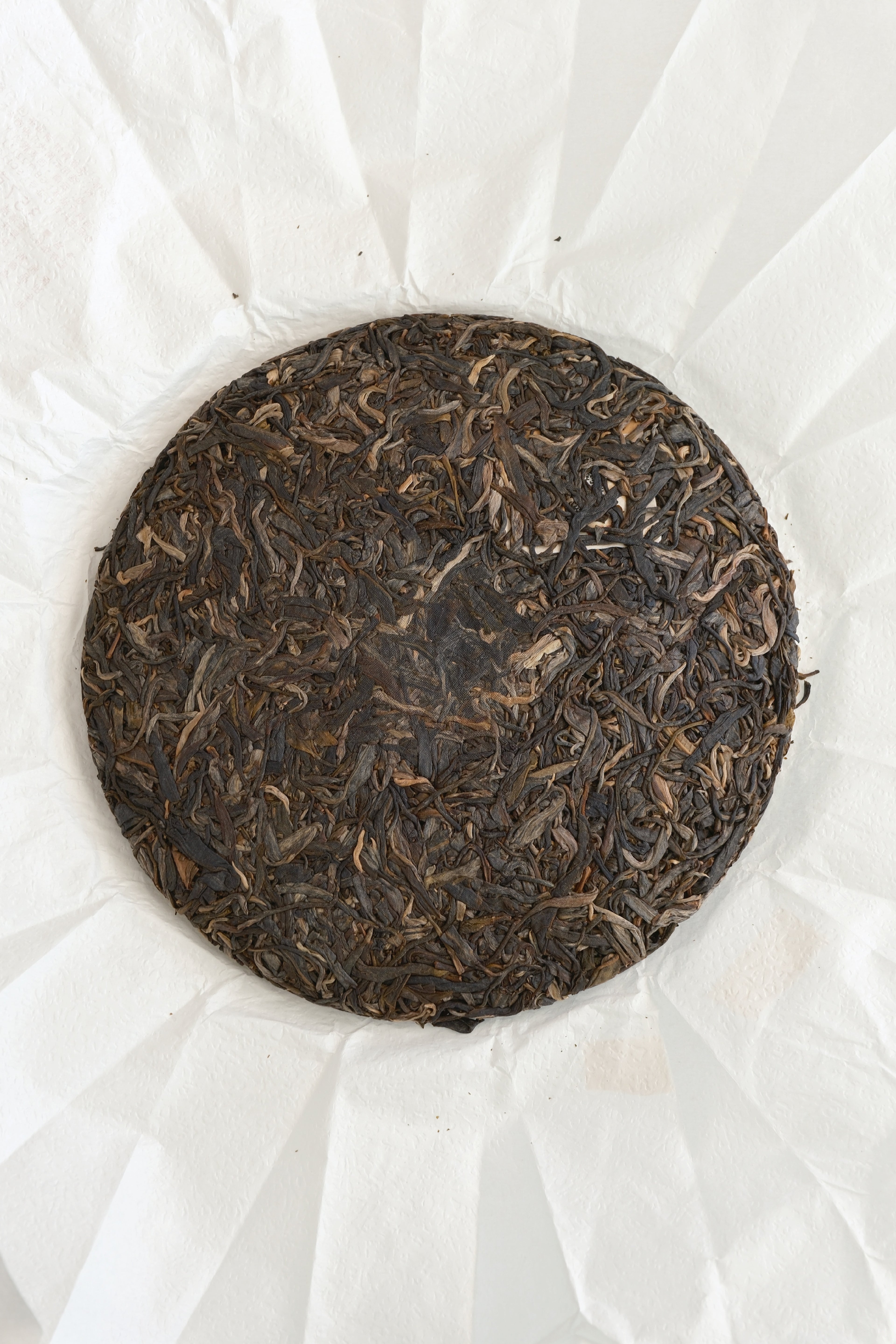 Misty Smoke Sheng Pu-erh Cake (2025)