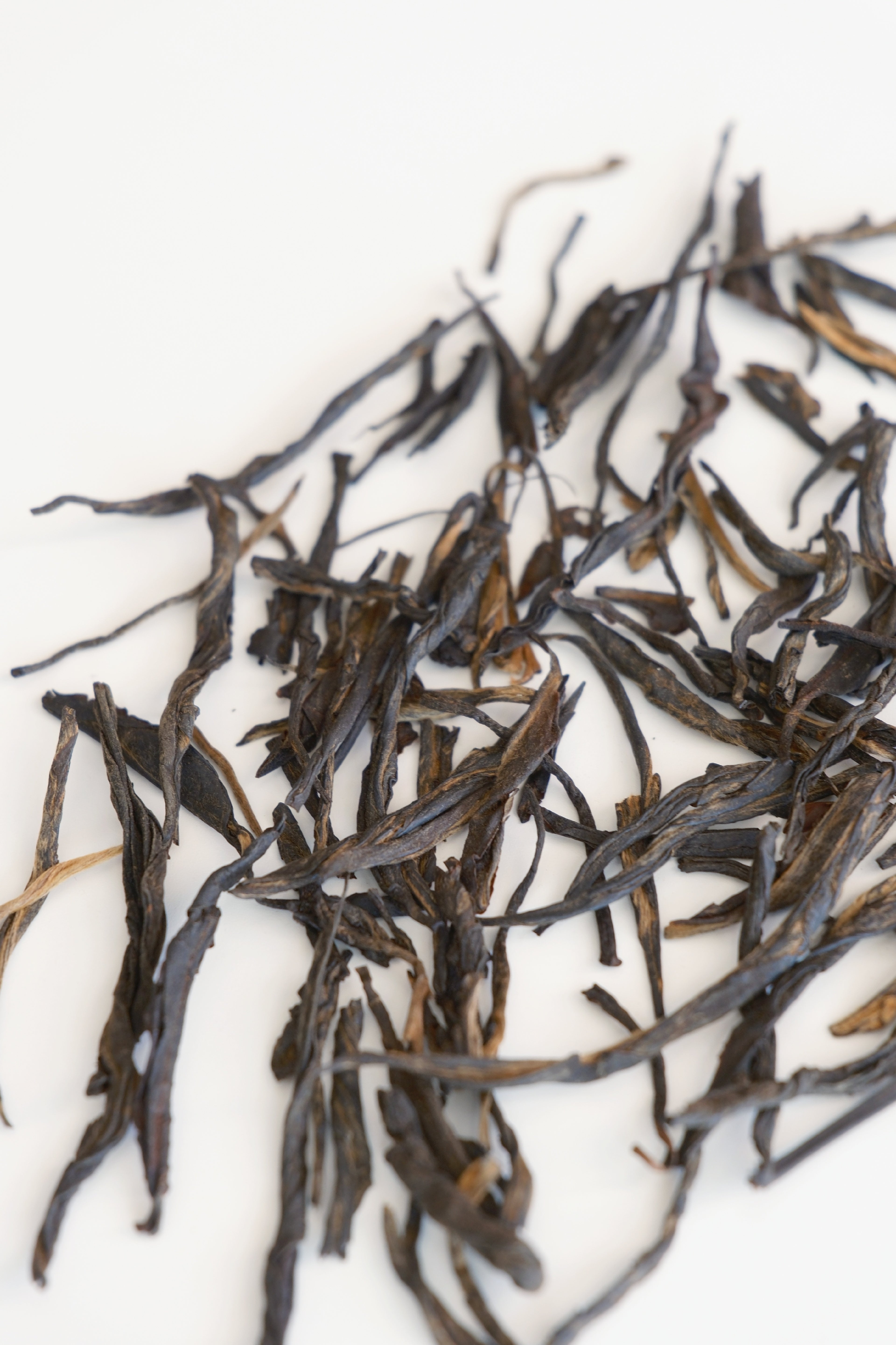 Ancient Arbor Black Tea