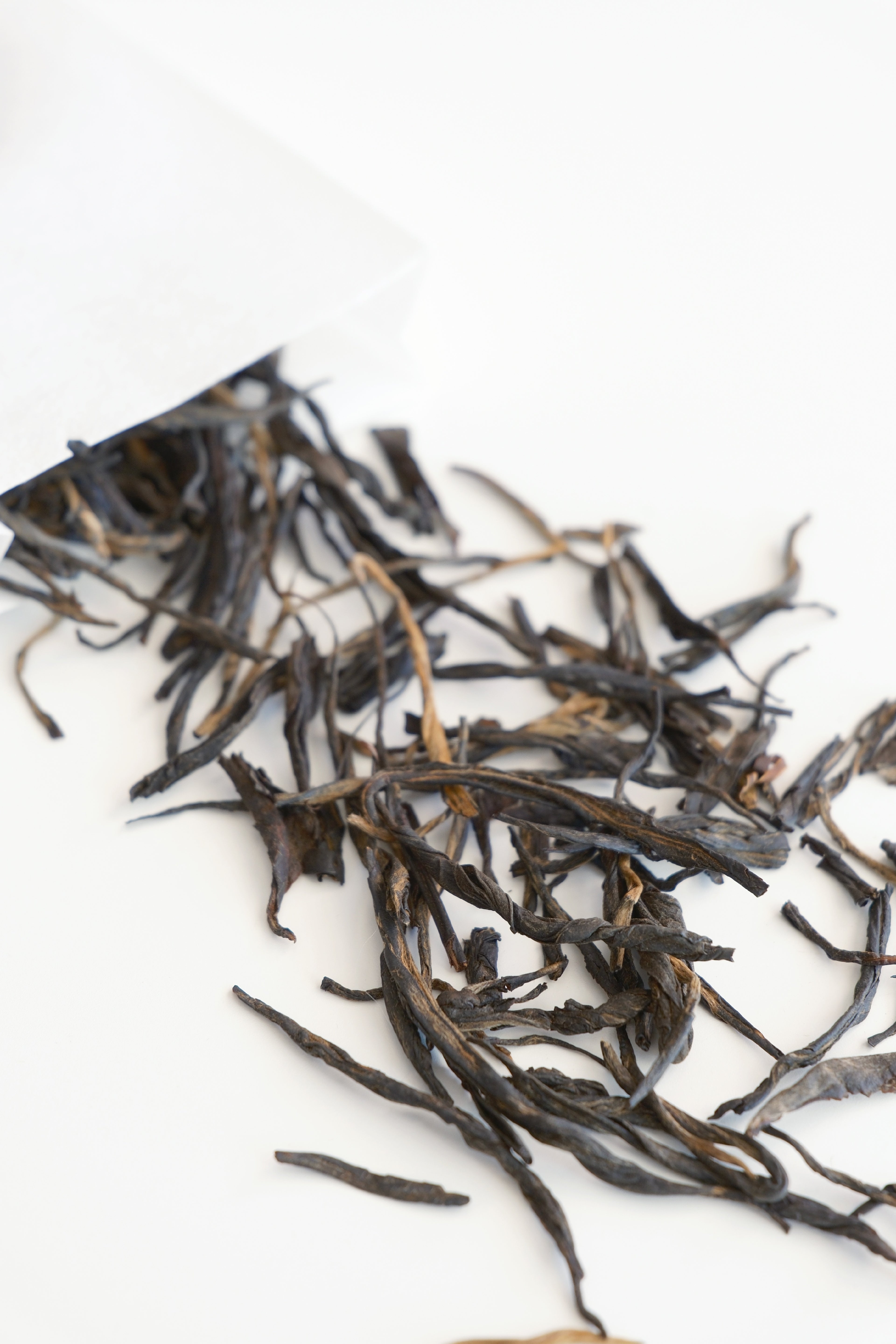 Ancient Arbor Black Tea