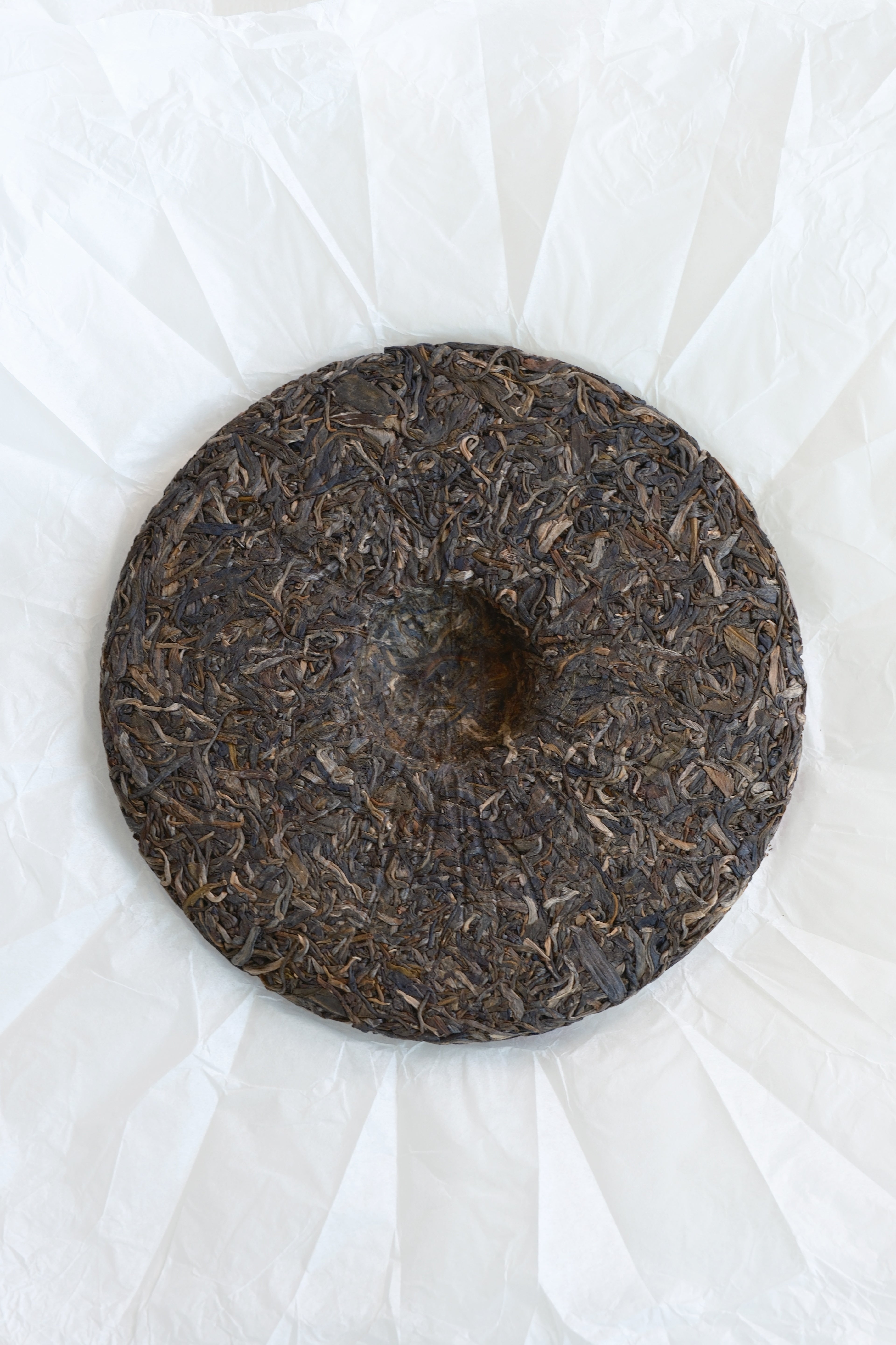 Galloping a Thousand Miles – Year of the Horse Raw Pu-erh Cake (2026)