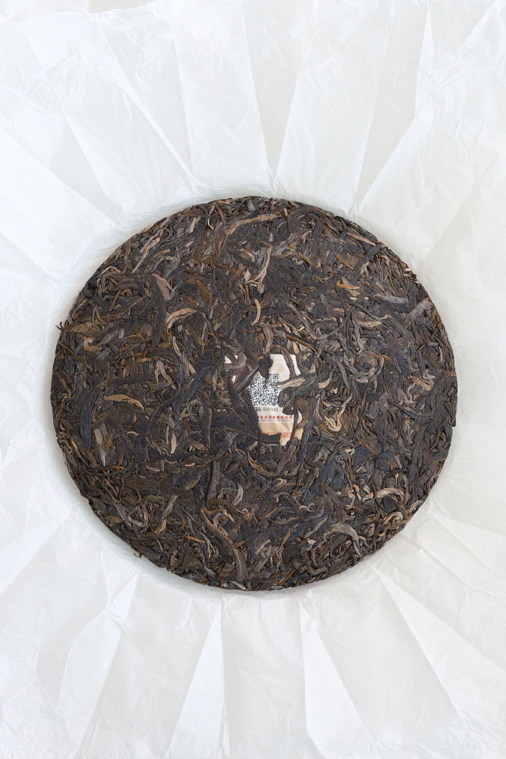 Galloping a Thousand Miles – Year of the Horse Raw Pu-erh Cake (2026)