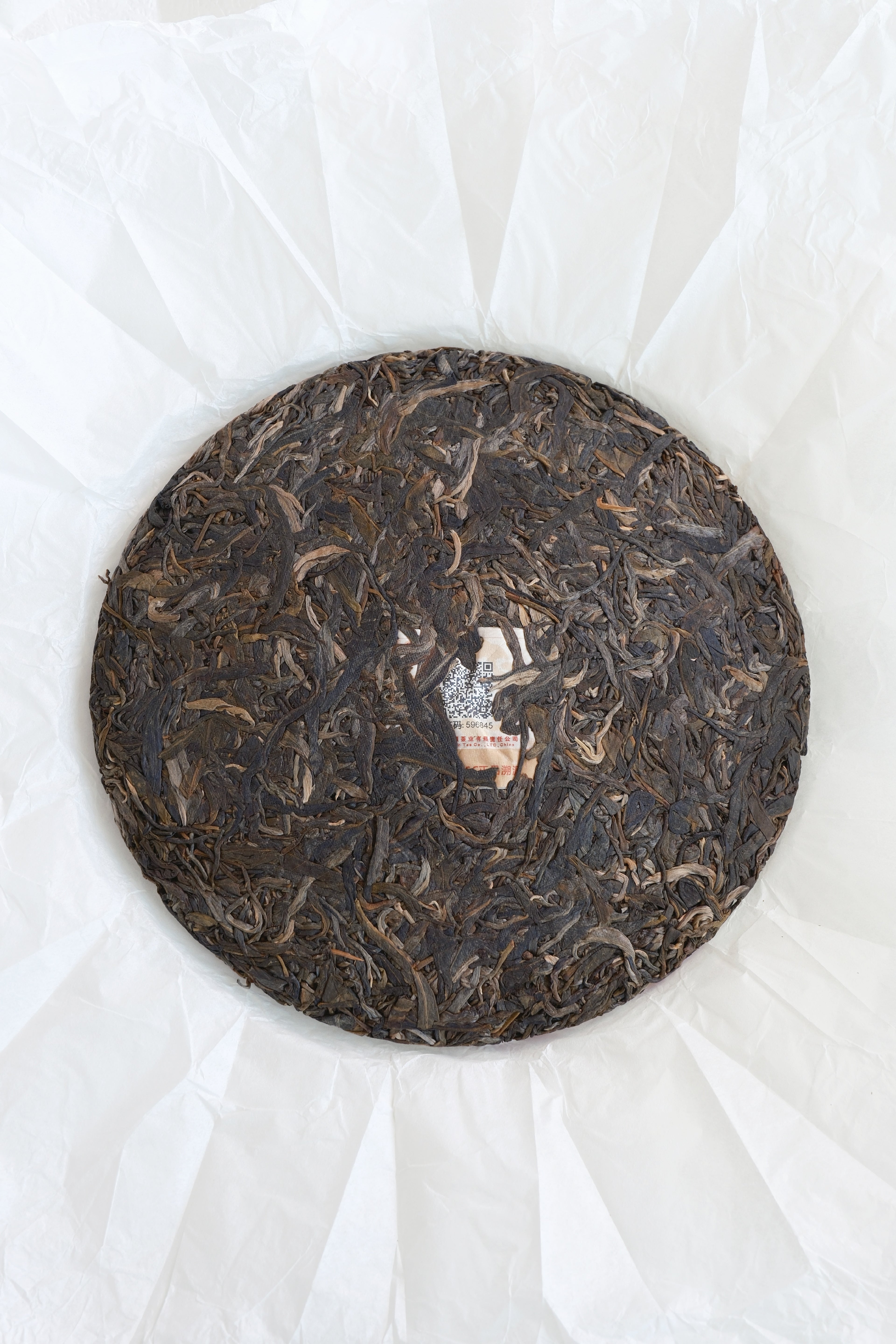 Galloping a Thousand Miles – Year of the Horse Raw Pu-erh Cake (2026)