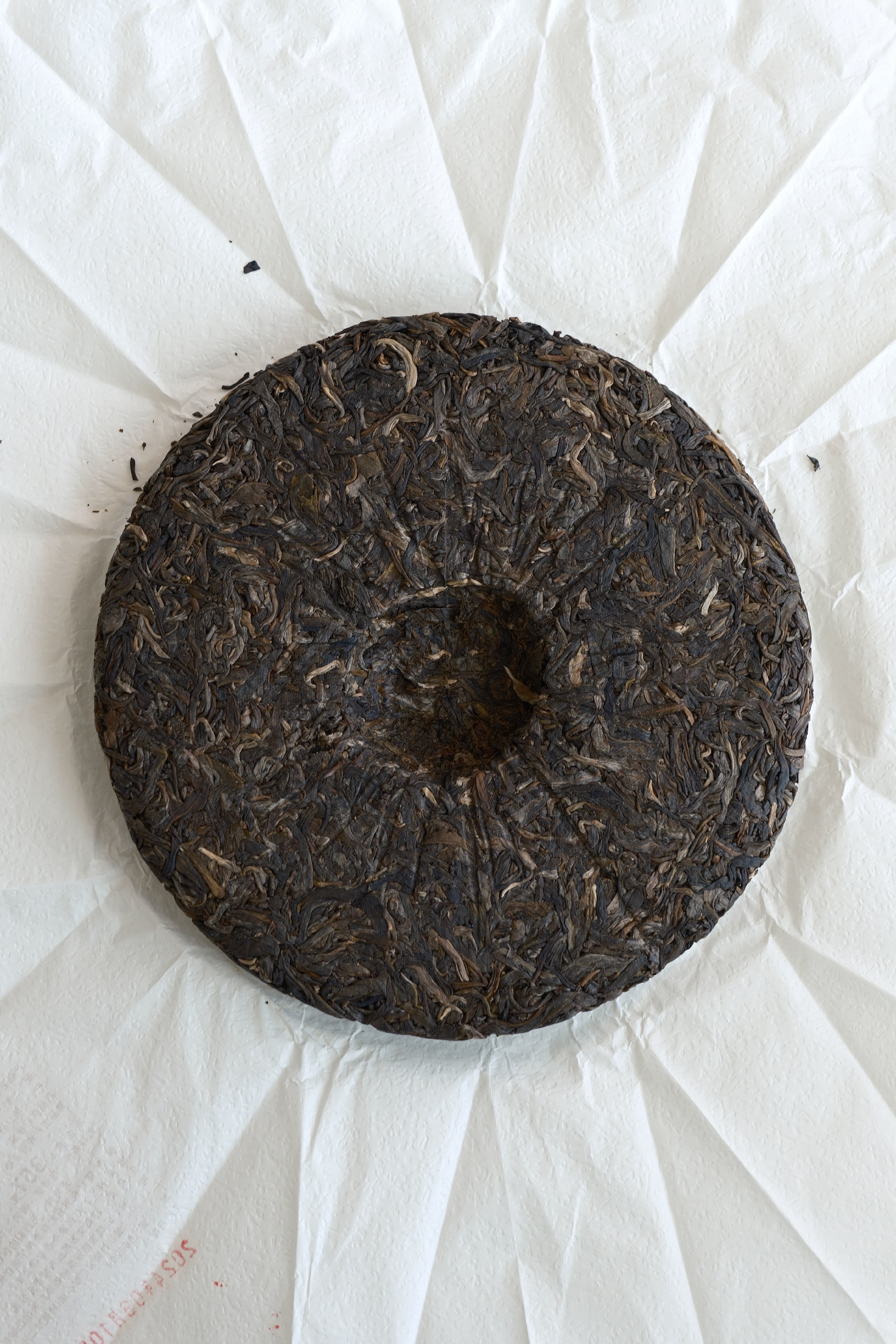 No.1 Raw Pu-erh Cake (2024)