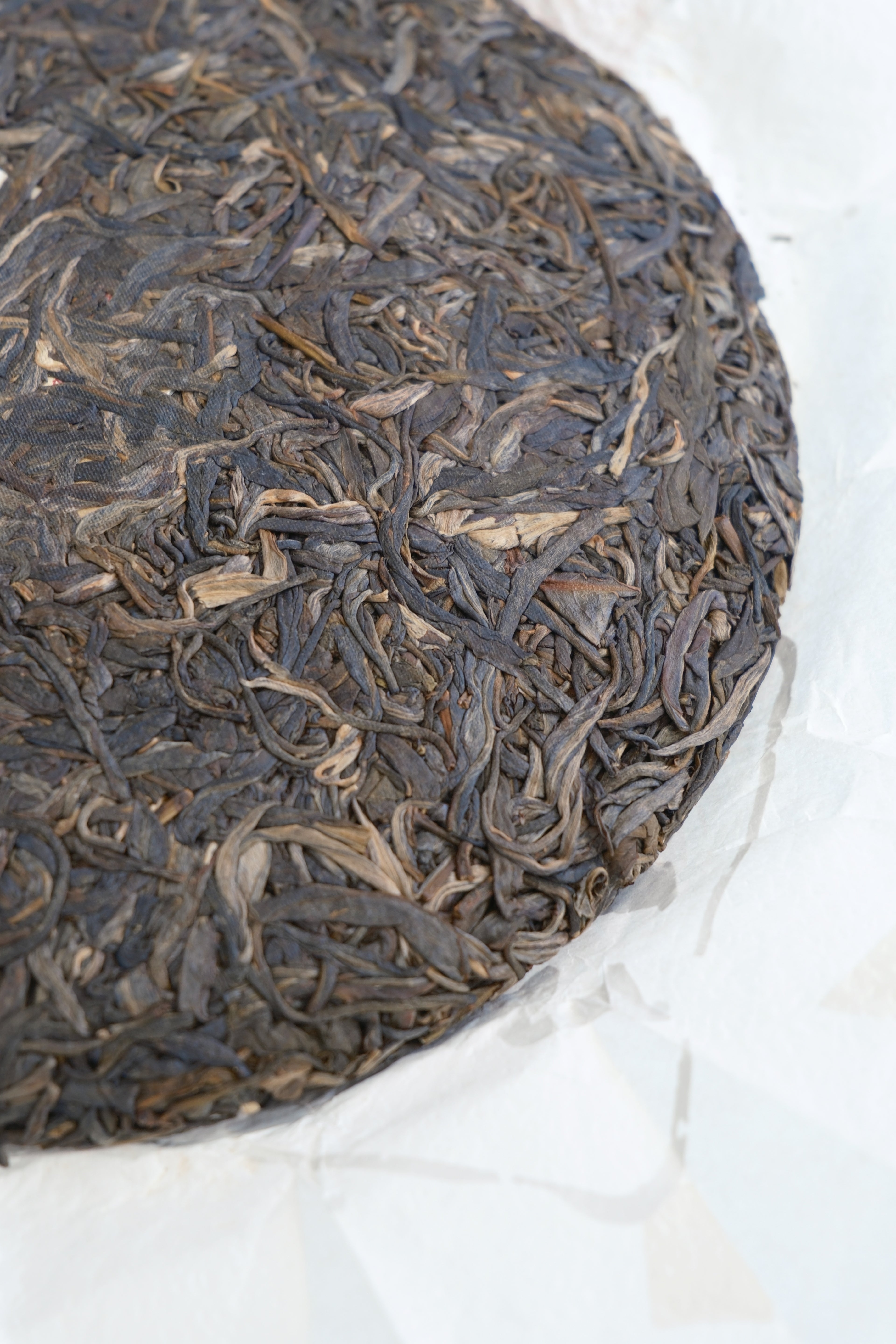 Jiachen Seal – Year of the Dragon Raw Pu-erh Cake (2024)
