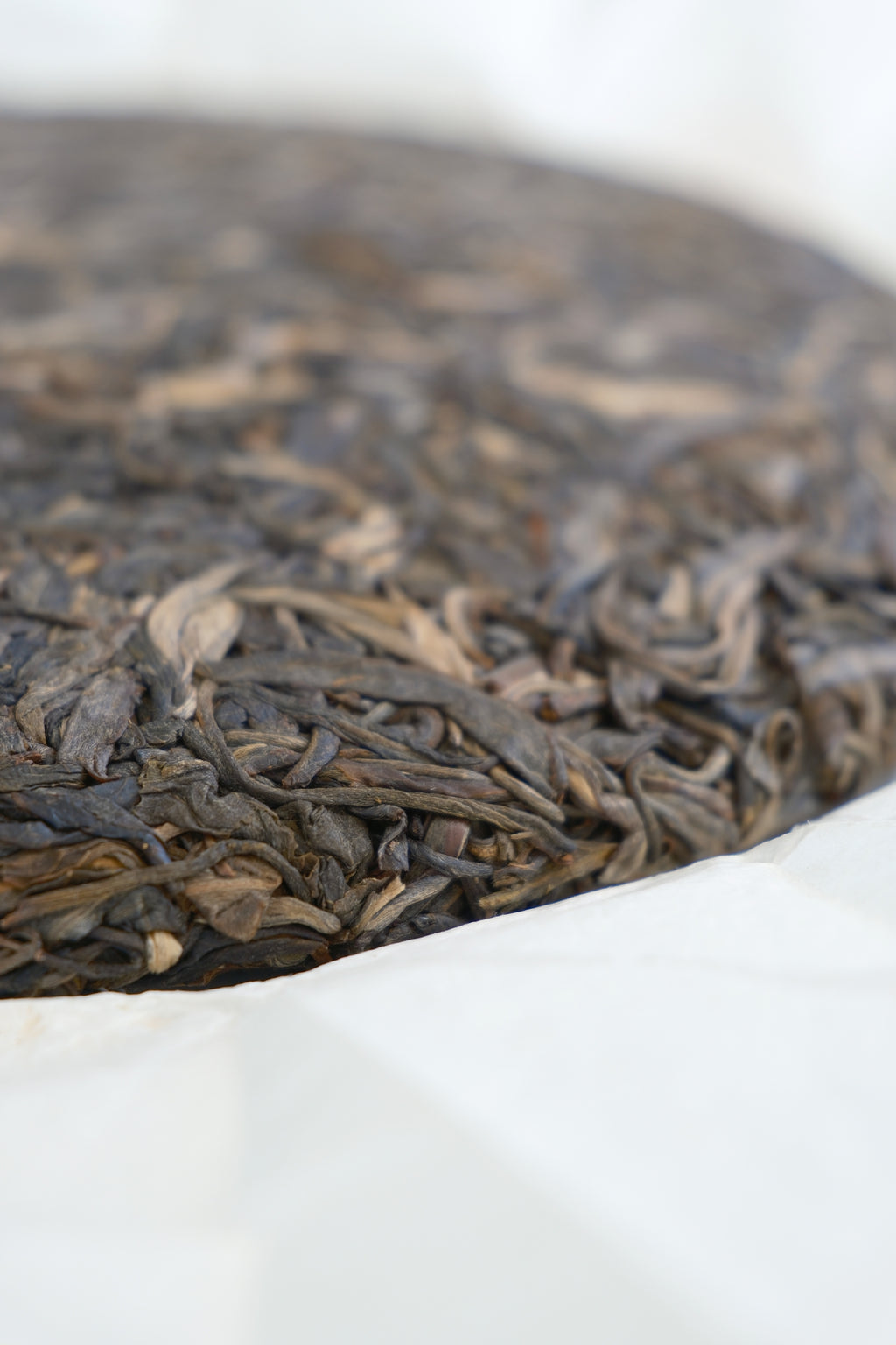 Jiachen Seal – Year of the Dragon Raw Pu-erh Cake (2024)