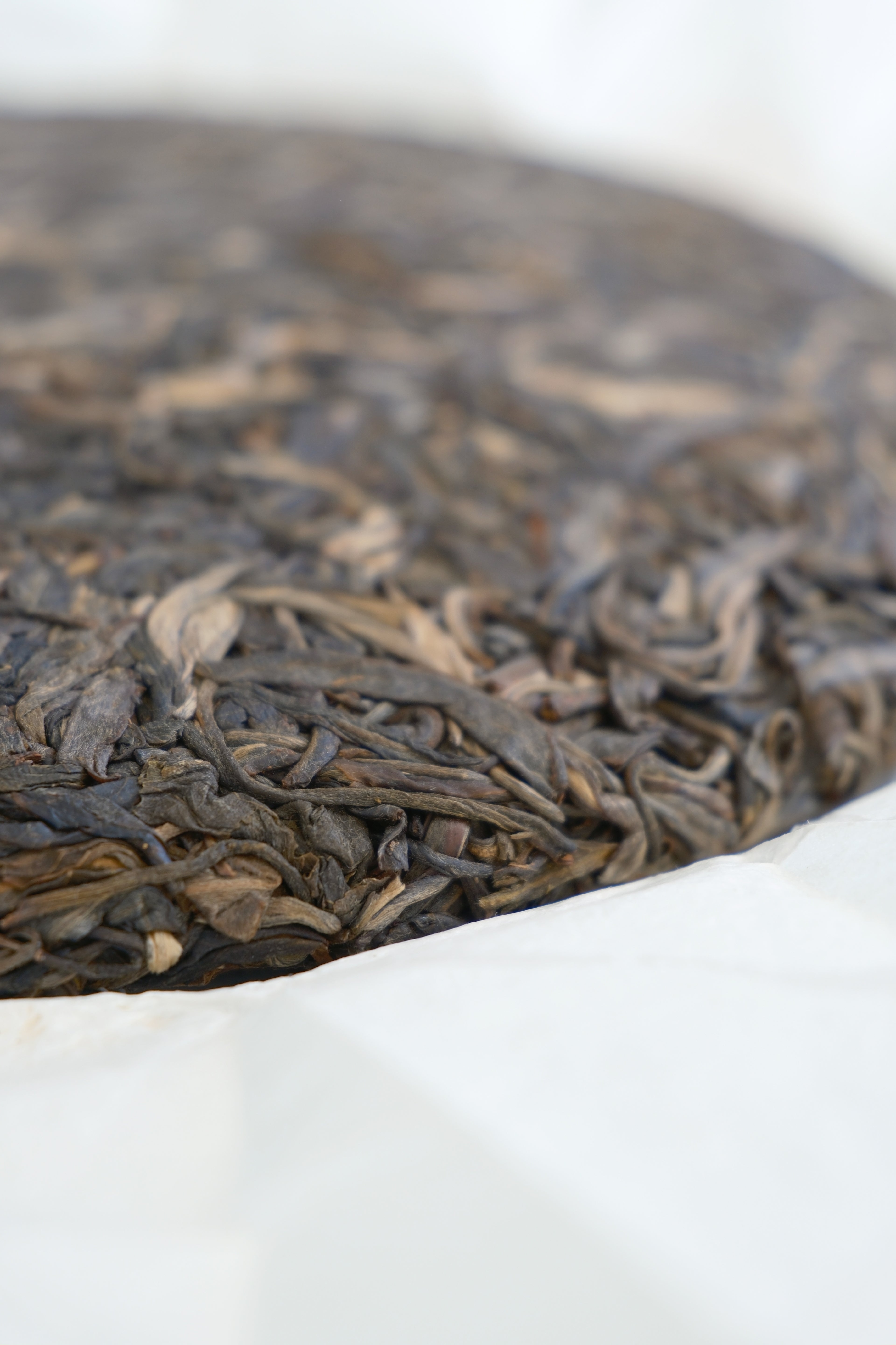 Jiachen Seal – Year of the Dragon Raw Pu-erh Cake (2024)
